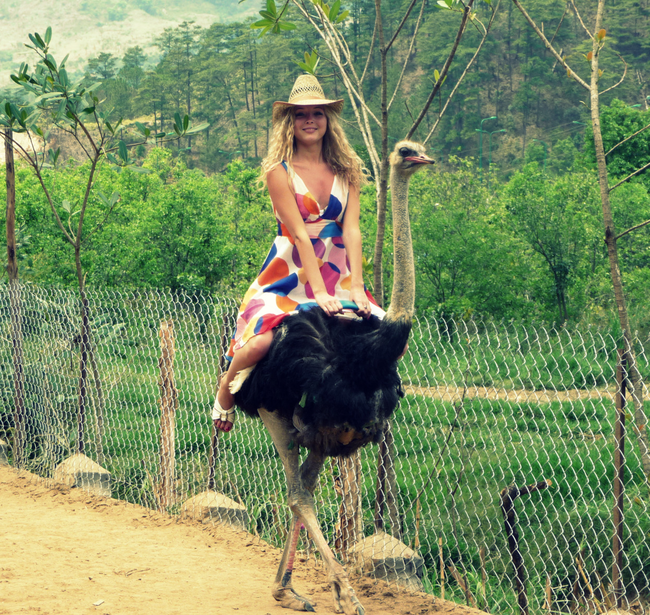 1.) Ostrich - Australia, South Africa