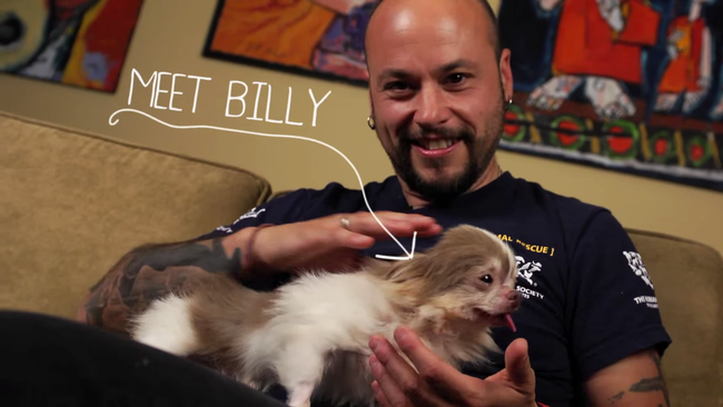 Meet Billy the Puppy, along with his personal hero, Adam. Billy was found in a puppy mill in North Carolina by Adam and The Humane Society in late 2012. The puppy mill was beyond horrible, with animals in various stages of neglect and abuse.