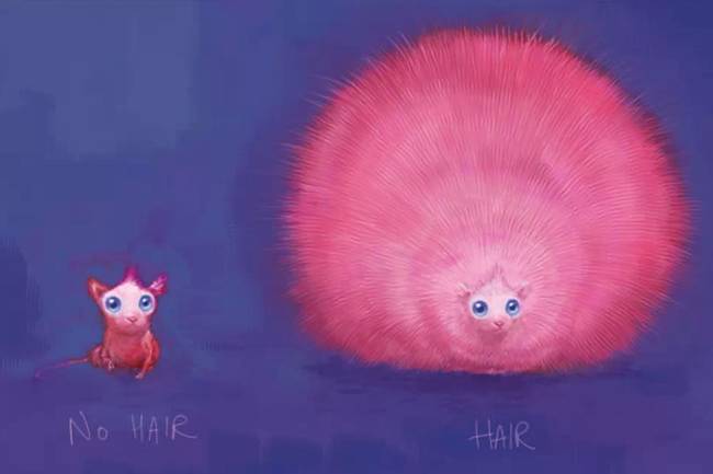 Pygmy Puff, Rob Bliss