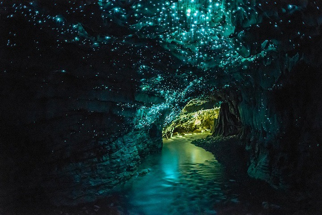 The Waitomo Glowworm Caves, North Island, New Zealand.