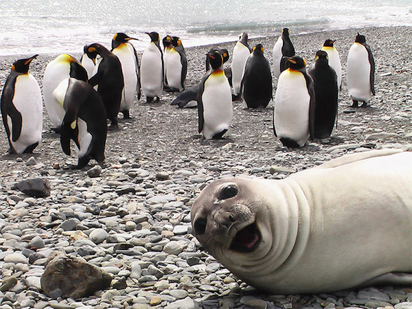 8.) The "Photobombing Formal Events" Selfie