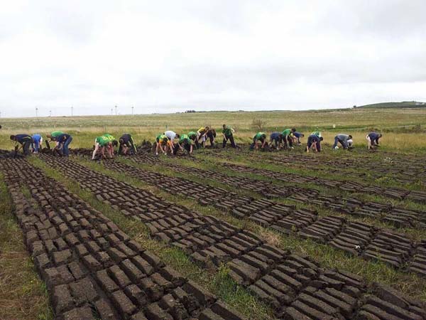 They covered an entire acre, a task that would have taken the man 5 days at least.