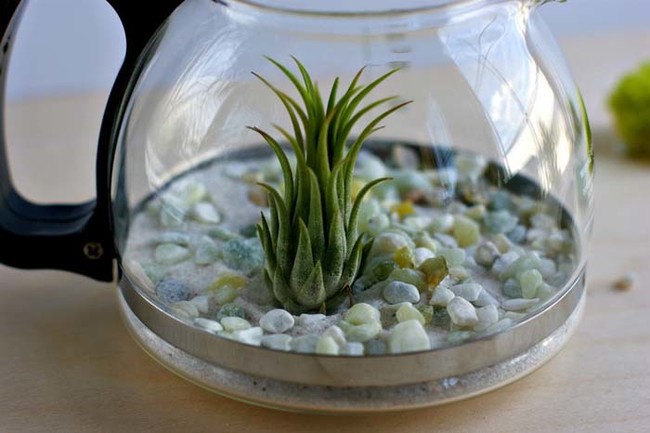 She arranged the rocks and gemstones for a beachy look, and started to design the plant layout.