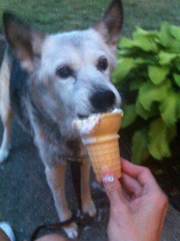 These final moments she spent with her owner were truly special.