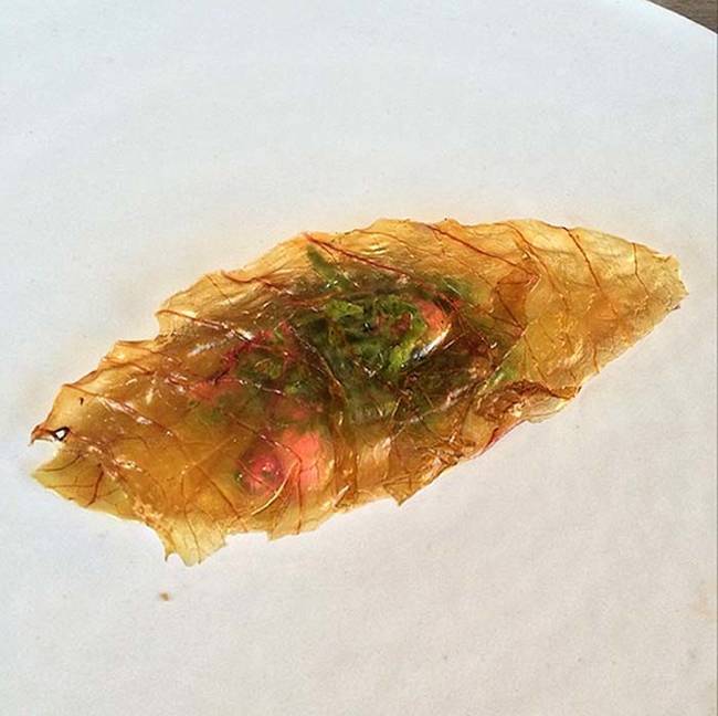 8.) Caramelized cabbage with rose petals and greens. This looks like the carcass of some sort of giant bug.