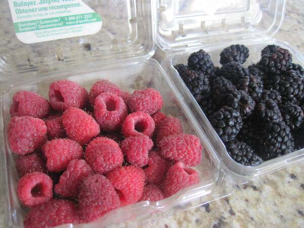 1.) "I asked my husband to help me pick up raspberries and blueberries, and this is what he came back with."