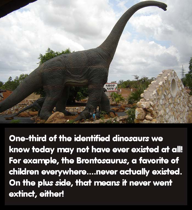 15.) Childhood favorite dinosaur = destroyed.