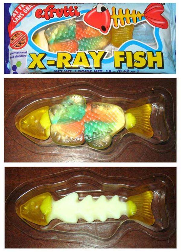 X-Ray Fish Candy