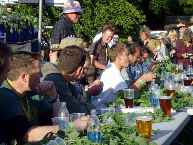 10.) Stinging Nettles Eating Contest (pointy leaves).