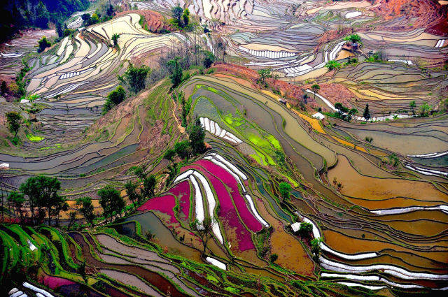 Stained glass landscape