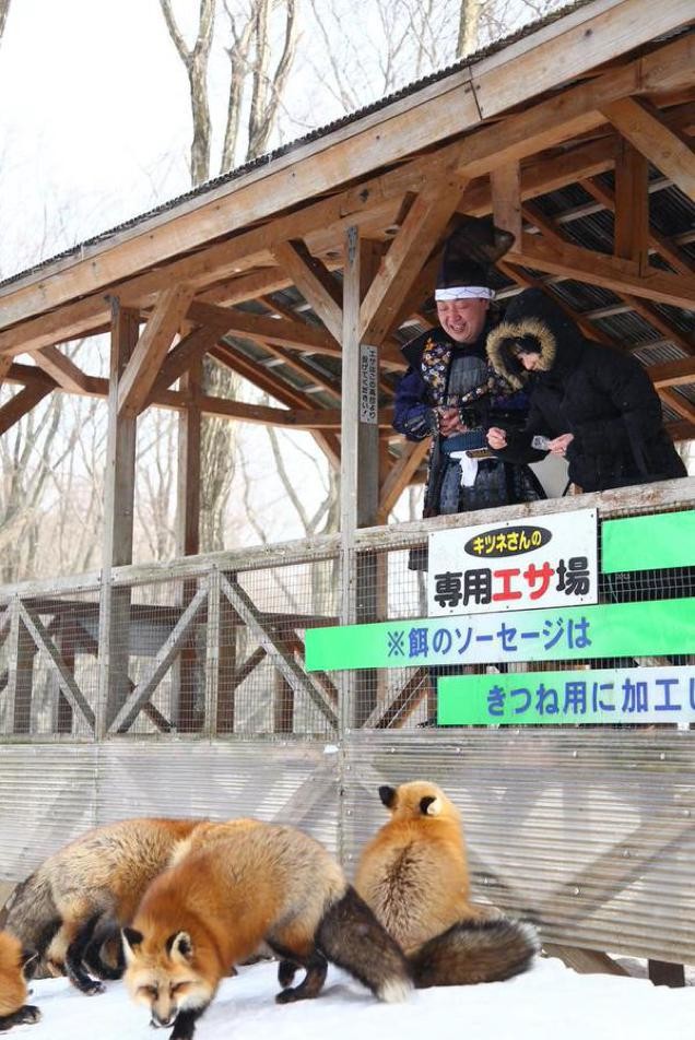 Thankfully, there isn't a "Don't Feed The Animals" sign in sight, so feel free to purchase some snacks for 10 yen.