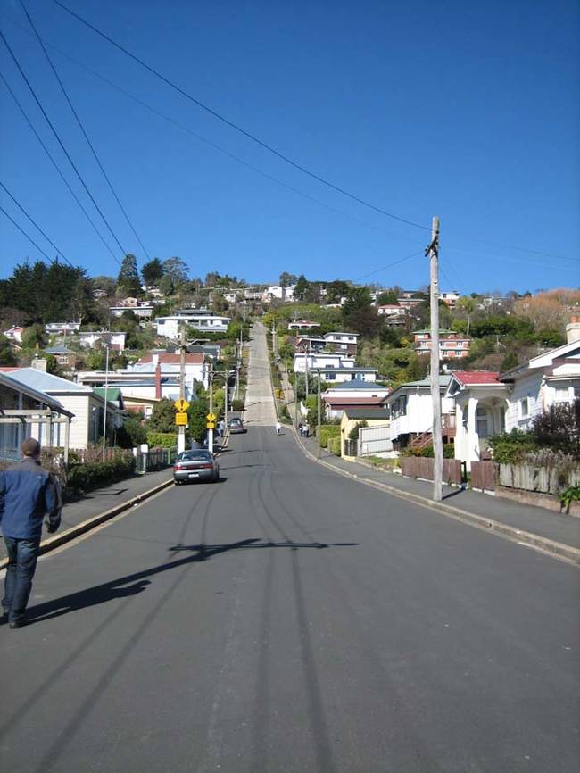 This is what Baldwin Street looks like from a distance. The Guinness Book of World Records has even certified it. Yes, there are actually houses built along it.