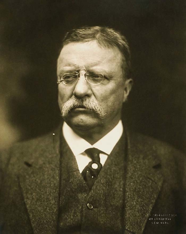 9.) Theodore Roosevelt.