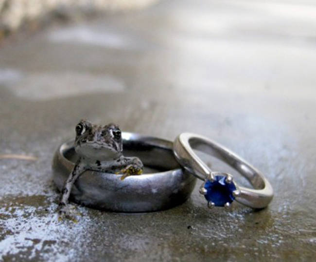 I'd say "I do" to this tiny frog prince.