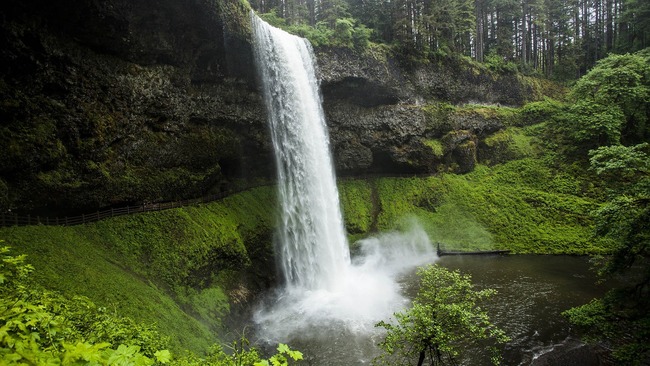 Silver Falls State Park, Sublimity, Oregon.