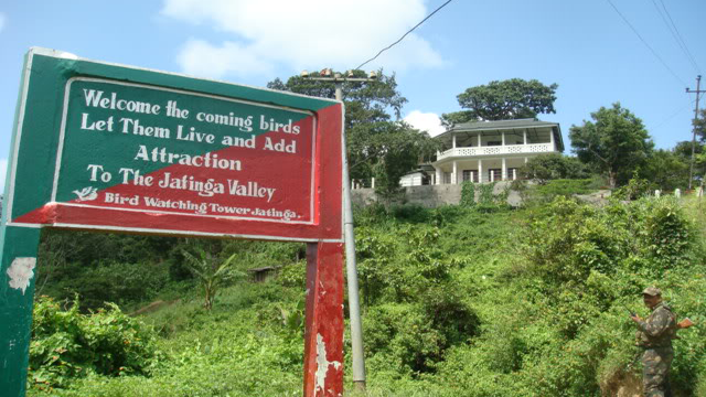 14.) Bird Suicide Grounds of Jatinga, India.