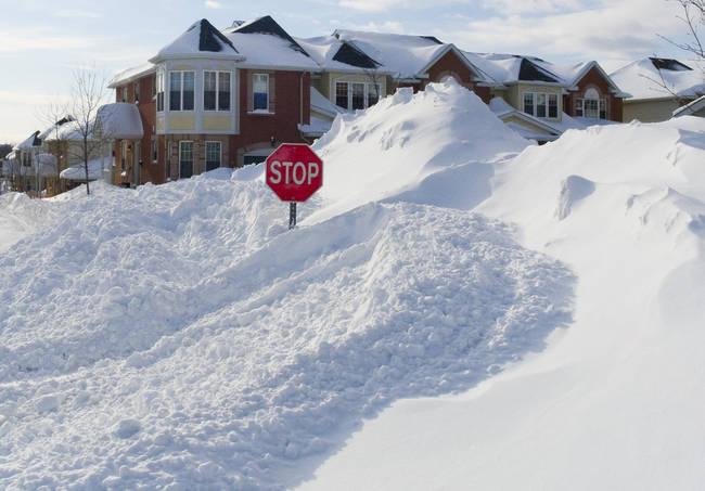 This much snow is just insane, and you'll go insane if you don't find some way to cope with it.