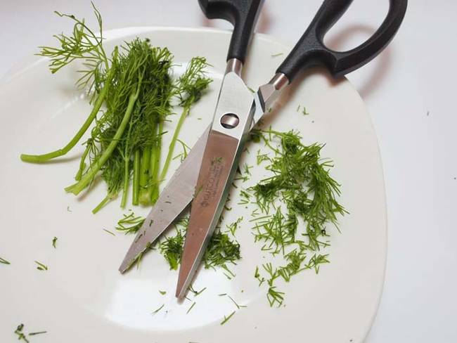 A pair of kitchen scissors can slice and dice herbs in a few quick cuts.