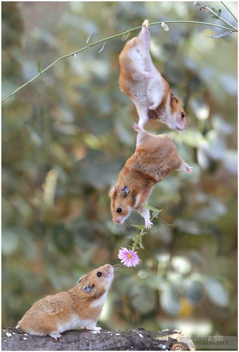 "I picked you a tiny flower."