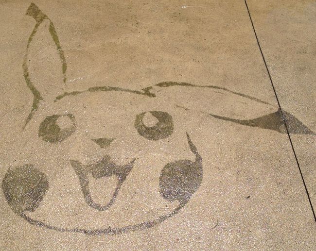 5.) Pikachu from Pokemon.