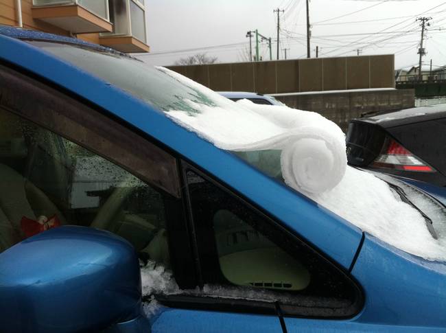 Are we sure someone didn't just forget their yoga mat on the hood of the car?