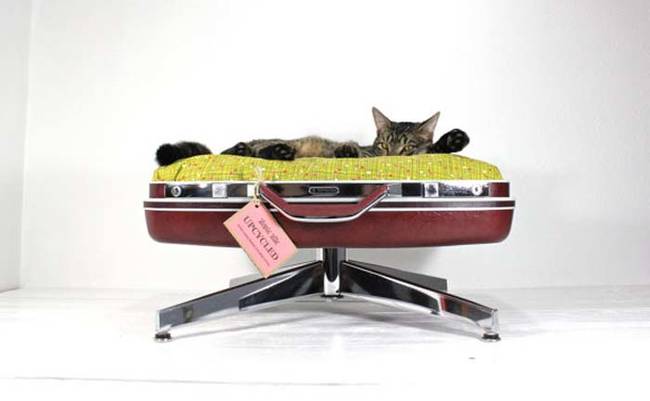 Pick up a set of vintage luggage at a thrift store and make this quirky pet bed. It's the perfect place for and on-the-go critter to sleep.