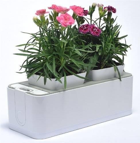  <a href="https://www.amazon.com/ZeroSoil-Mini-Indoor-Garden-Self-watering/dp/B00H2Y1L2I/ref=sr_1_1?ie=UTF8&qid=1417451081&sr=8-1&keywords=ZeroSoil+Mini+Indoor+Garden+Self-watering+Hydroponics+Indoor+Herb+Garden" target="_blank" data-skimlinks-orig-link="">ZeroSoil Mini Indoor Garden</a> - Gardening can be a very relaxing and stress-relieving activity, so it only makes sense that you should have a little garden at your work desk. This one even waters itself!