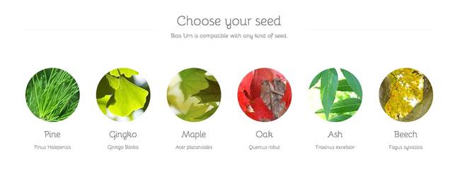 If you can pick out what kind of casket you'd like to be buried in, you should be able to choose what kind of tree you'd like to grow into. Bios Urn lets you do just that.