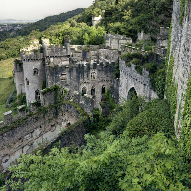 An abandoned castle