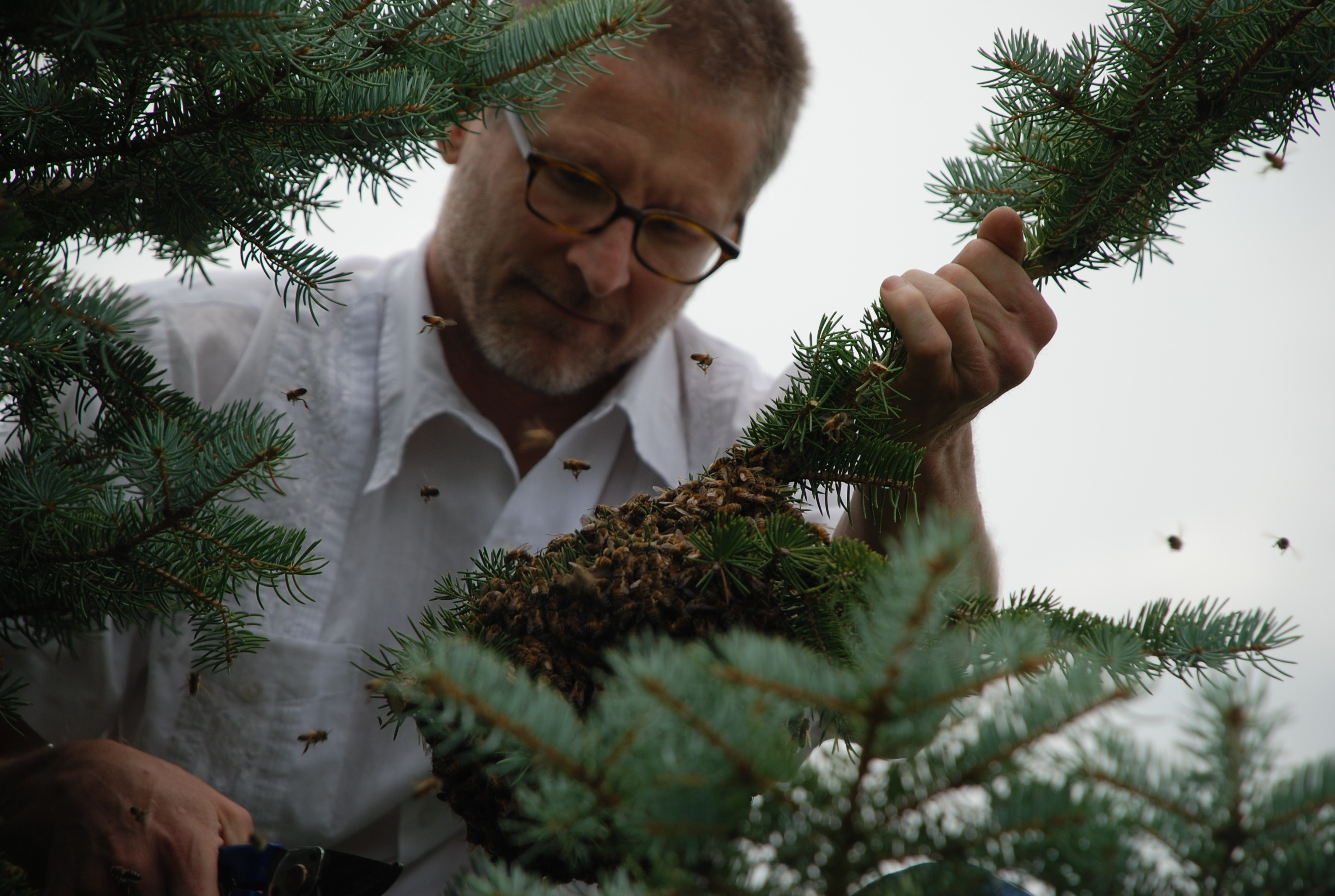 3. Morgan inspecting the branch.