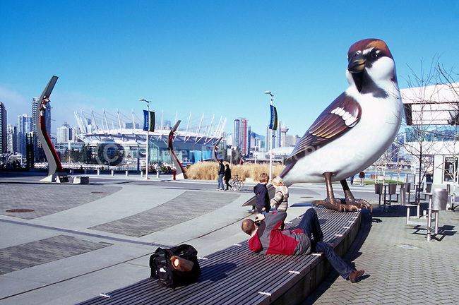 Better hope this bird poops on you! It'll be the best luck ever!