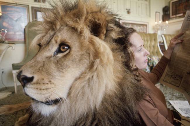 Tippi Hedren and Neil read the paper.