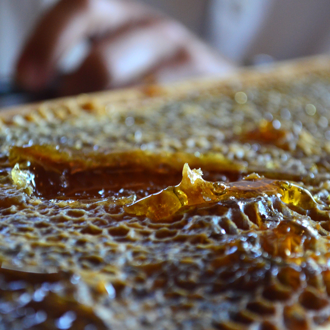 Here is some of the ten gallons of honey that the Hyatt hopes to make in a year. Deliciousness comes at a dangerous cost.