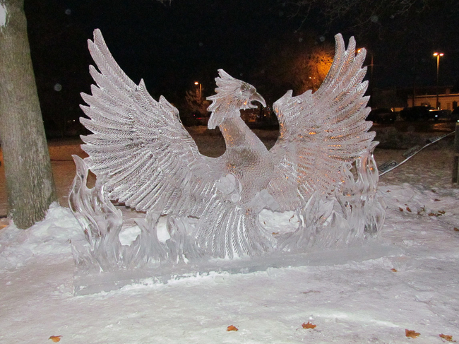 4.) A Phoenix arising from the snow.