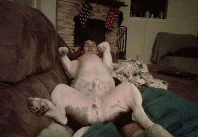 18.) Who wants a belly rub?!