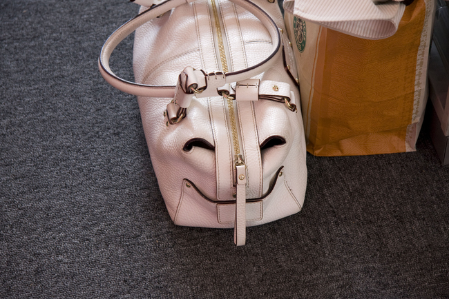 26.) This purse is so happy to not have a puppy stuffed in it.