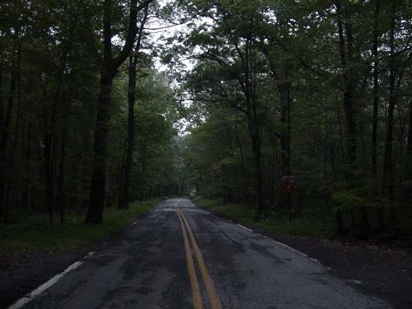 8.) Shades of Death Road: This New Jersey road stretches out over seven miles of countryside. Along the road lies a body of water, which most call Ghost Lake. One day during the 1990s, some visitors found hundreds of Polaroid photographs scattered throughout the woods. Most of the disturbing images showed a television changing channels, others showed a woman or women, blurred and somewhat difficult to identify, lying on some sort of metal object, conscious but not smiling. Local authorities couldn’t identify the source of the photos.