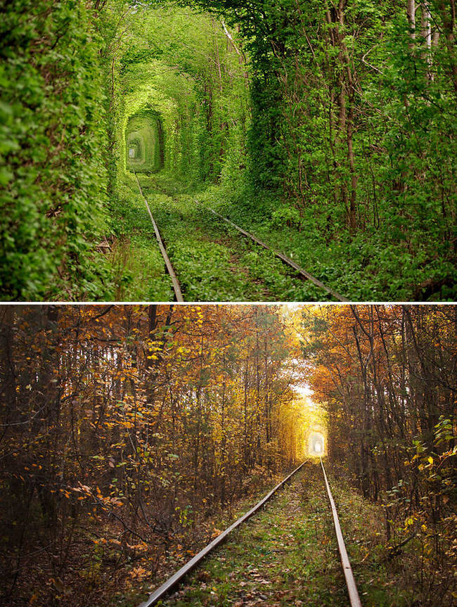 Tunnel of Love - Ukraine.