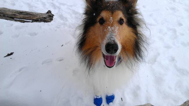 "Blue booties are the best!"