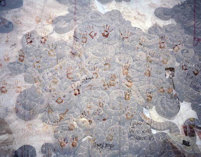 Contributing to a massive mural, people put their hand prints in snake blood and sign their names.