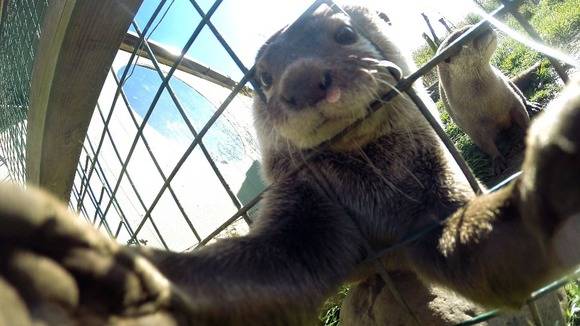 "I'm still learning how to hold the camera with two hands - bear with me!"