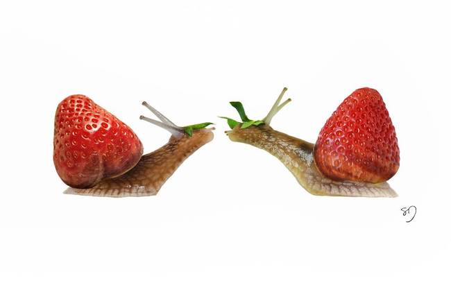 Snails and Strawberries