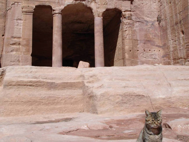 Watching over Al Khazneh in Petra, Jordan.