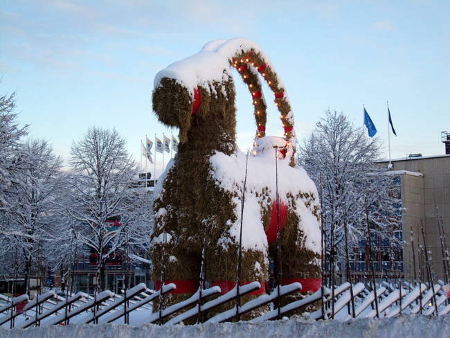 Sweden - The city of Gävle puts up a giant straw goat each year to celebrate what is obviously the most wonderful time of the year.