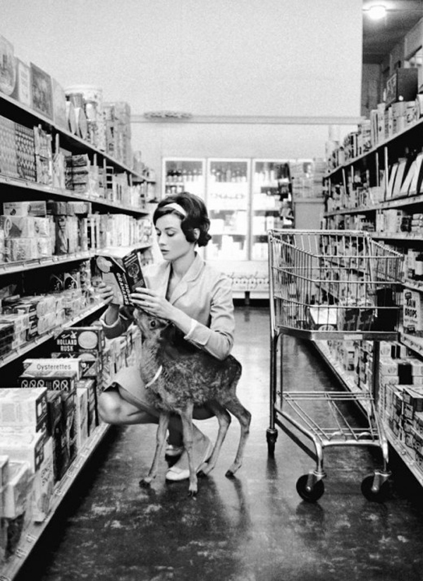 13.) Audrey Hepburn and her pet fawn.