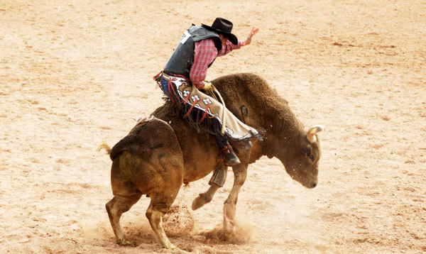 6) Bull Rider - $100-500k