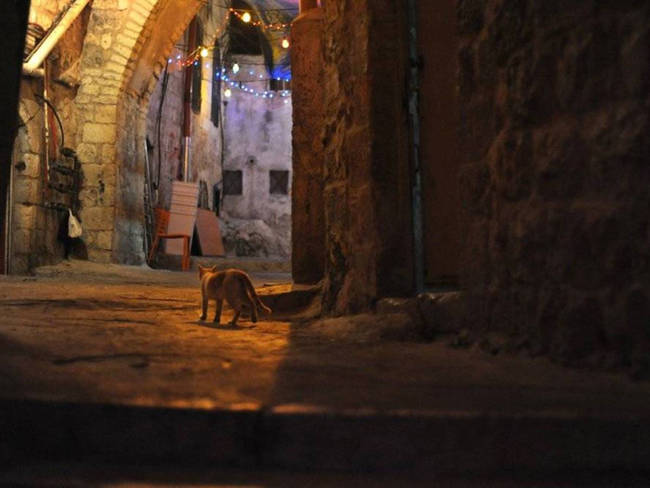 Staying up late in Jerusalem.