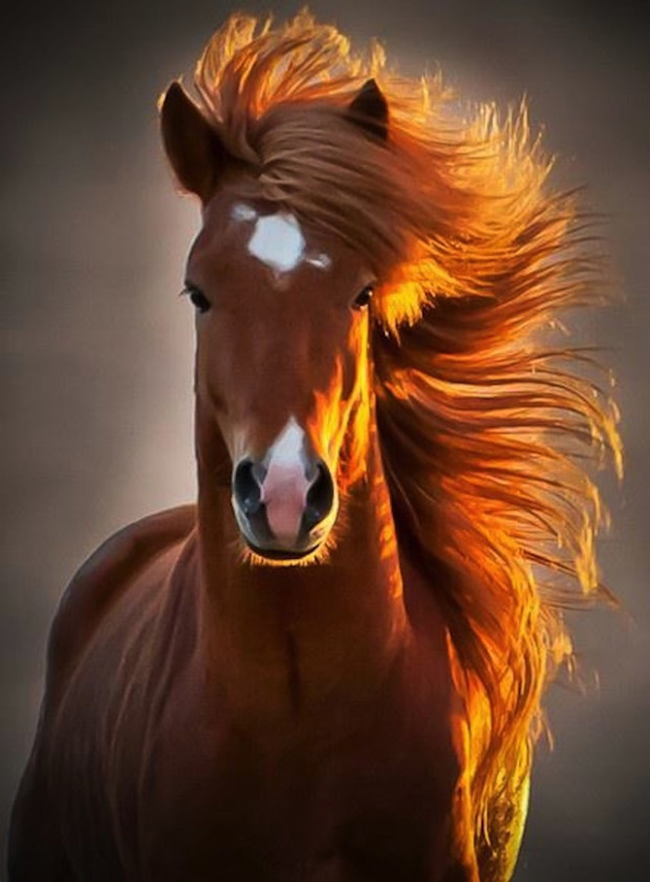 6.) This hair-raising horse.