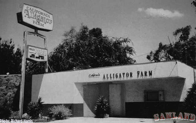 After Earnest's passing in 1946, his son took over and eventually moved the farm to Buena Park, renaming it California Alligator Farm.