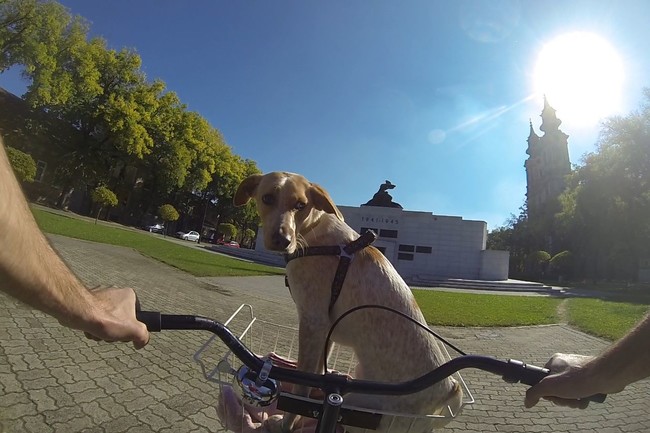 Though she'll never be too big to fit in the bike basket for a ride.